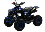 Kinder Quad XTL XBW 49CC Seilzug + E-Start