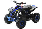 Kinder Quad XTL XBW Mini 49CC Seilzug
