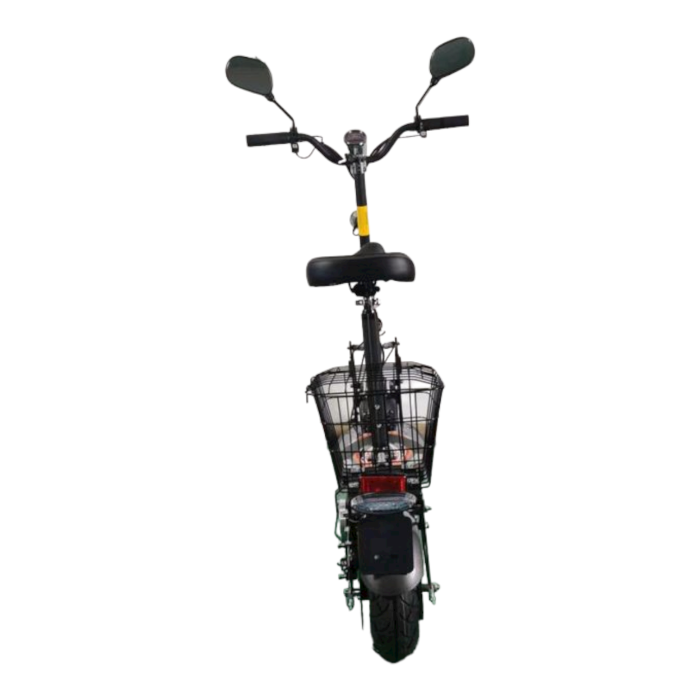 E-Roller 1000W