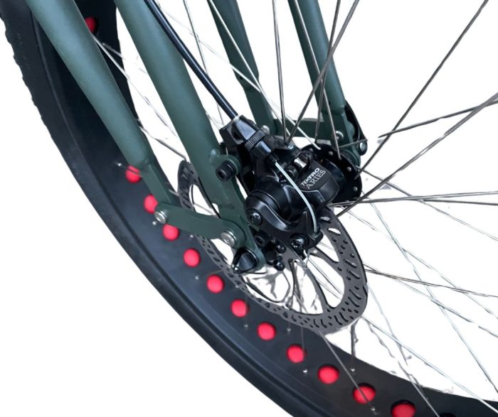 Elektro Beach Cruiser / Fatbike 26