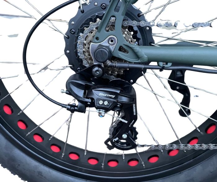 Elektro Beach Cruiser / Fatbike 26
