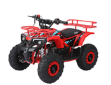 Kinderquad MINI ARES 49cc für Kinder – E-Start, 2-Takt, Offroad Quad