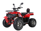 Quad XTL Wild 125cc – Das Automatik-Quad für junge Offroad-Fans