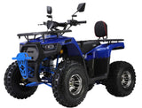 Quad XTL Wild 125cc – Das Automatik-Quad für junge Offroad-Fans
