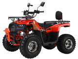 Quad XTL Wild 125cc – Das Automatik-Quad für junge Offroad-Fans