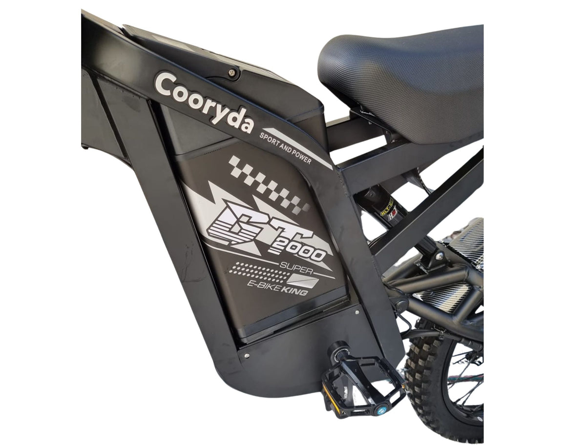 GT 2000 Fat Tire E-Bike – 250 W Motor, 150 km Reichweite