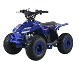 Kinderquad XTL FALCON 110cc – Power, E-Start & Rückwärtsgang