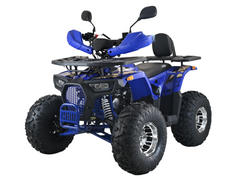XTL Wild 125cc Kinderquad – sportliches Einsteigerquad mit Automatik und Rückwärtsgang, erhältlich bei BRAND7