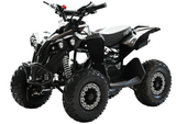 Kinderquad XTL XBW Mini 49cc – mit Seilzug & E-Start (4–8 Jahre)